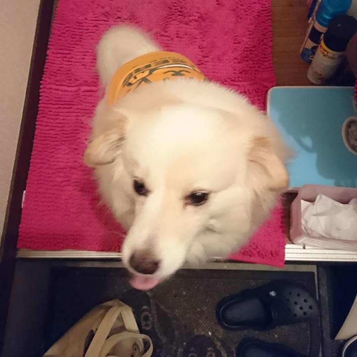 2f68f3f3 a06e 4c70 839d b532d7ed99a5