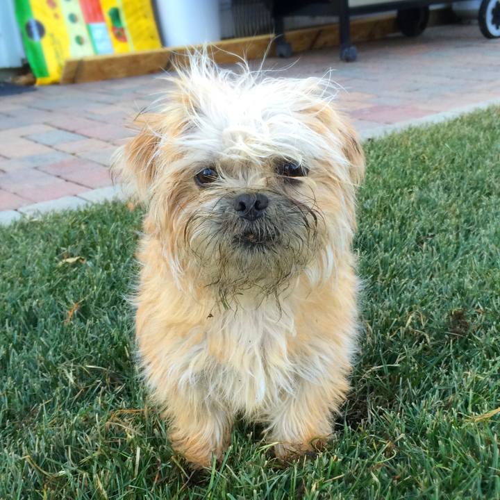 2f69d3f0 5cfa 4a9b 9fe6 489f6e480c6b