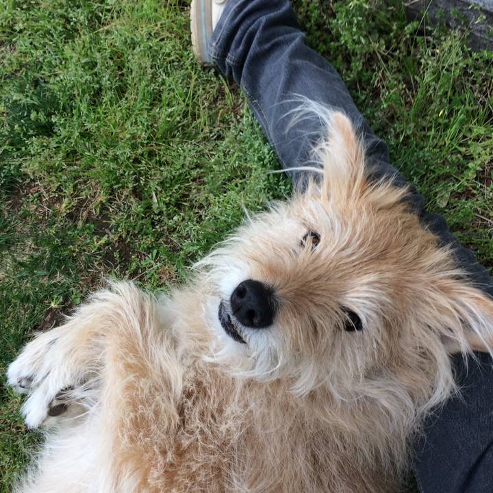 2f6a03b1 2eed 4e9d 8871 2d80c74c1185