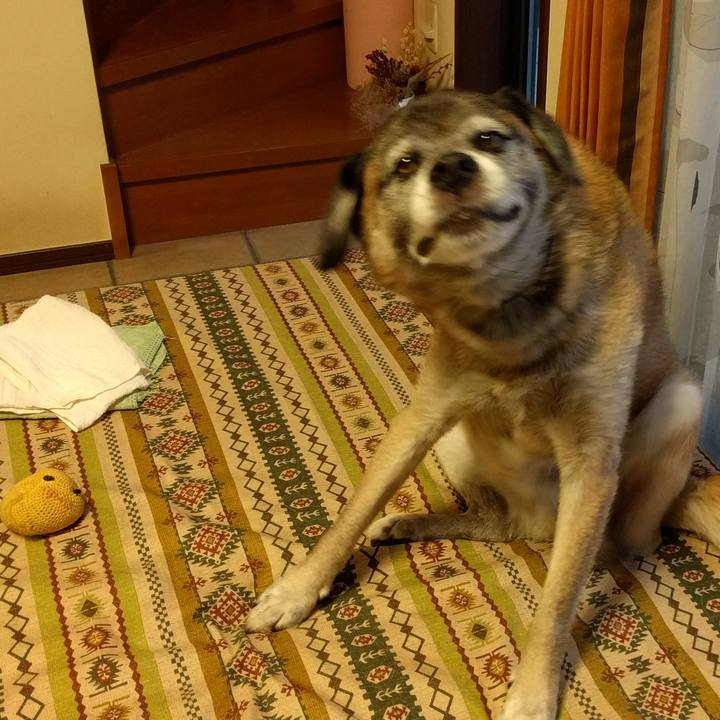 2f6a0552 e2eb 4526 9dbe 8783ae0c7ad7