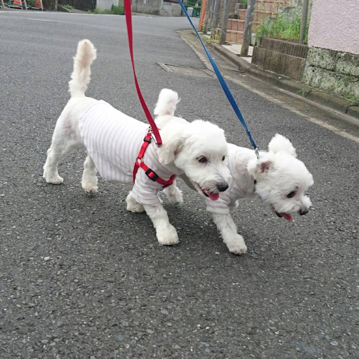 2f6a4fa8 b6e0 4b6d b61d e1241a483225