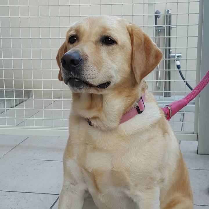 2f6af2de fd2f 4d79 9db0 827fad6d478b