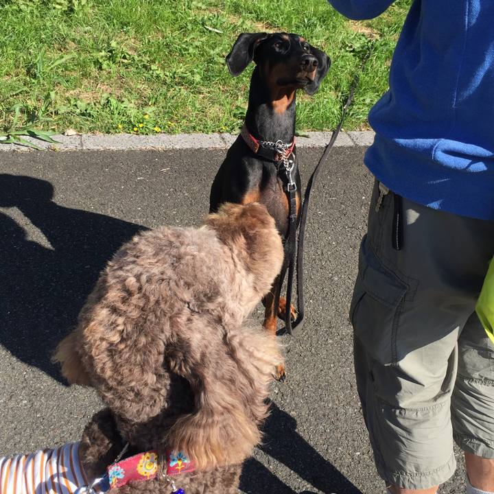 2f6b2a50 8115 4626 80df 1e3c73b2ec7b