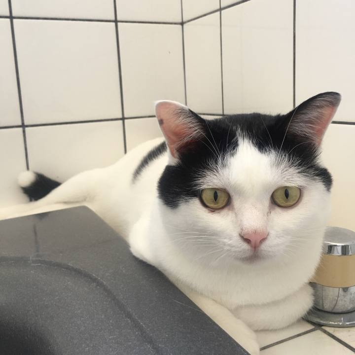 2f6b3c5b 1b46 4160 886d 4cedb5d3dd10