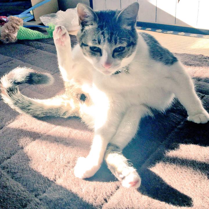 2f6b8c20 3386 498b 847e 316f66ef2fb2