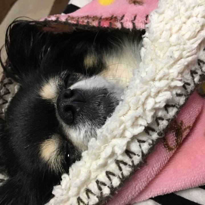 2f6b9b2b 9517 4227 a1f9 d364816f9eda