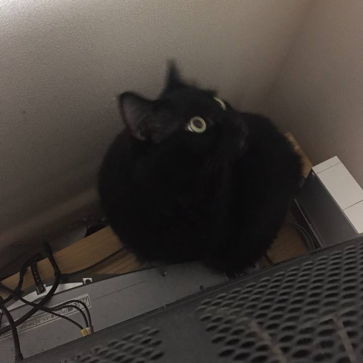 2f6ba949 ecd9 46f1 8bc7 60cc7fee7d7a