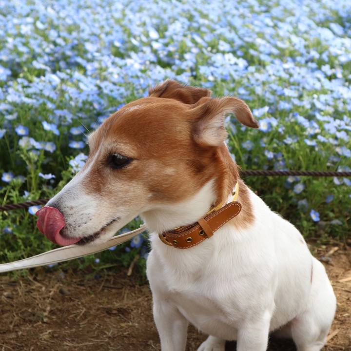 2f6c7793 ae5b 4fe8 a545 f11095d364f9