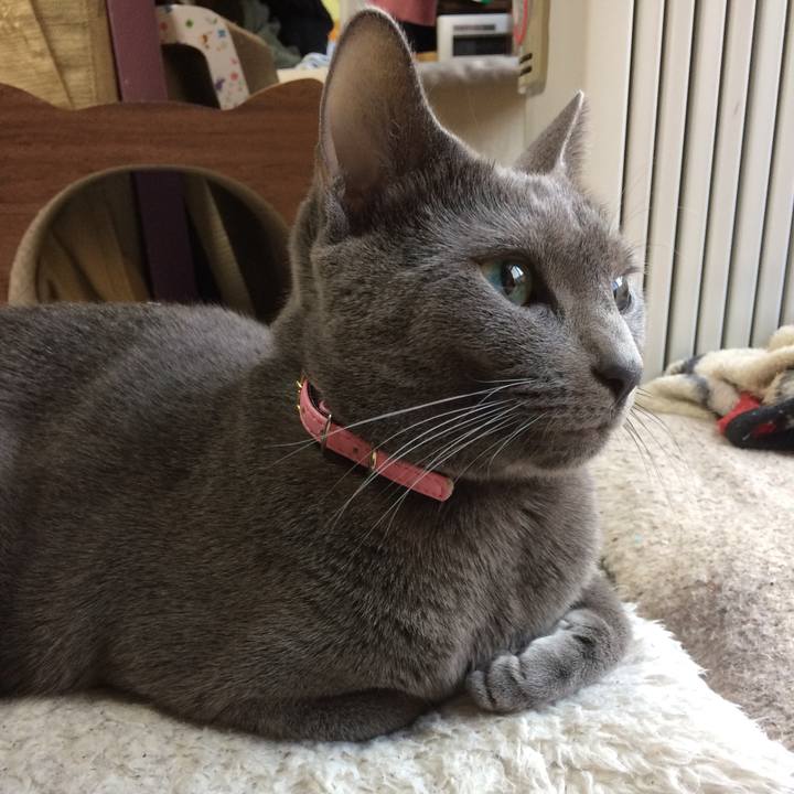 2f6d188d 63cf 4b1d bd5e 65ad546bcaa3