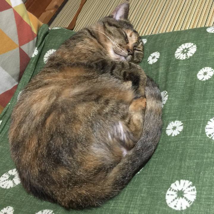 2f6f3065 467e 485e 9a11 795ac30793fb