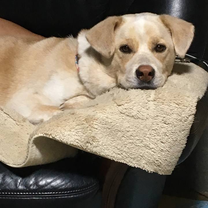 2f6f66e1 c06c 4687 a2e8 dade35058bfe