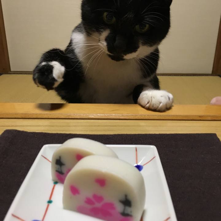 2f6feefb 8ffe 4529 943c 105a7a0f53ad