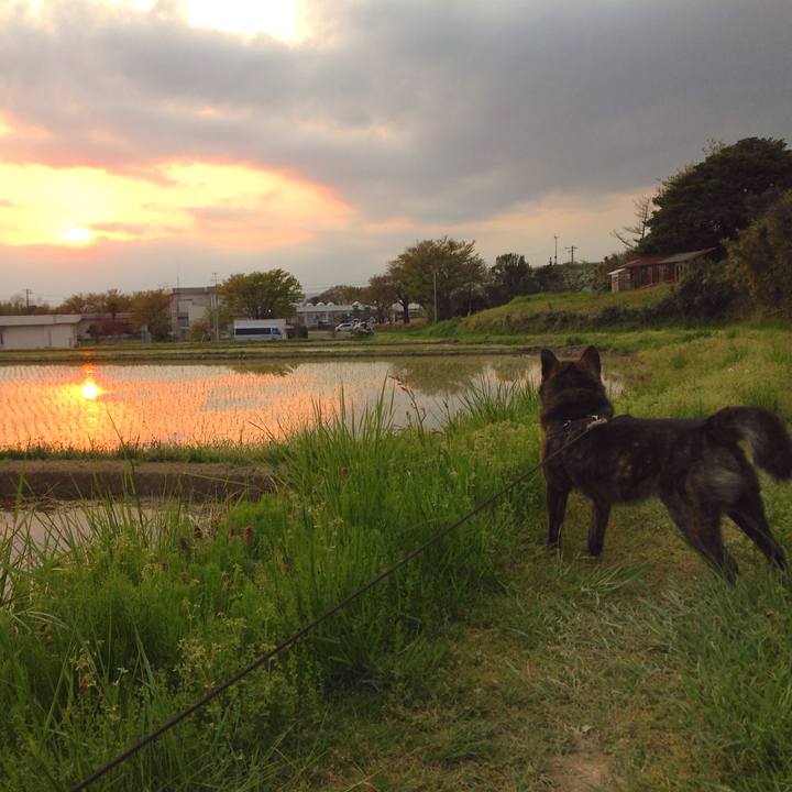 2f6fef74 bacb 4b76 b2bd 11554cfb1a67