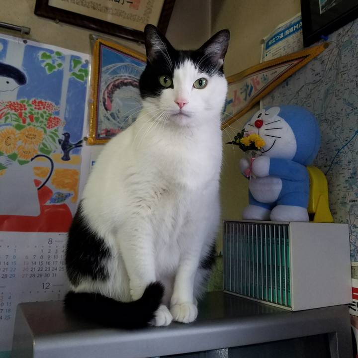 2f702172 017e 458c 9bf7 e3df7bd9f82e