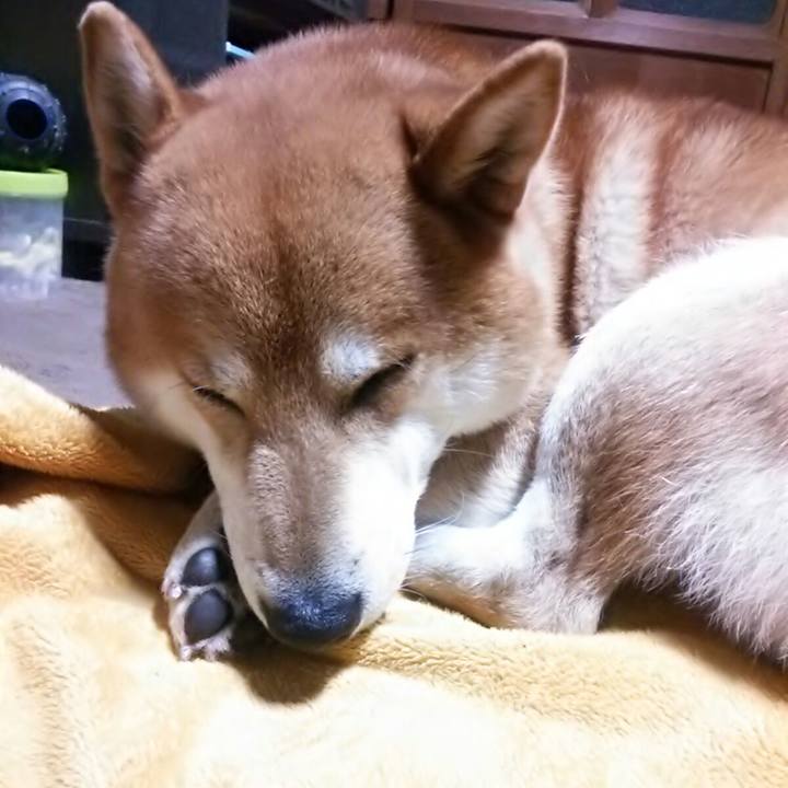 2f7024eb fef1 48c5 9aa9 3ee3801c0179