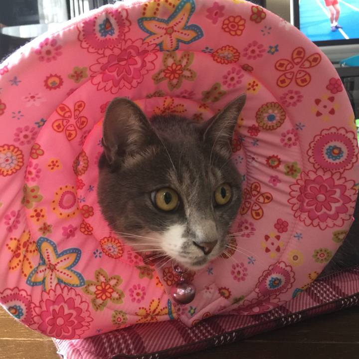 2f70b86d 352c 45ac 971a c95843544327