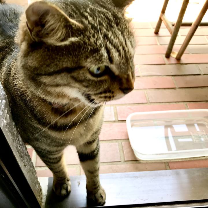 2f710cd2 c24c 4bea 9697 11777bcd1685