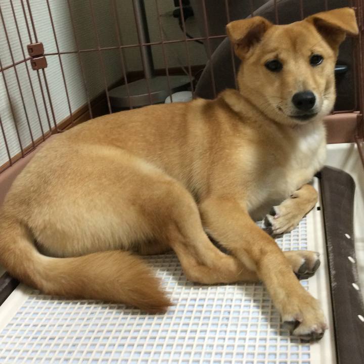 2f71b805 aec4 47d3 828e c1cc5ab89e15