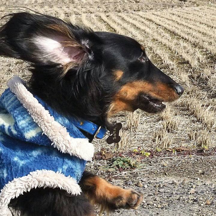 2f7217d0 8e9b 47f0 9f8c 1e9fe7159745