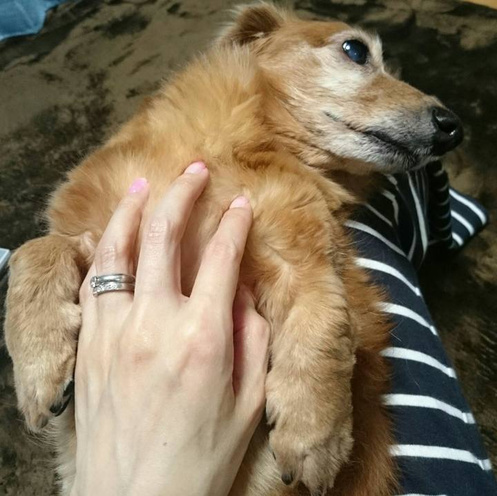 2f7239ee fc09 457a bf5c 558b813f8159