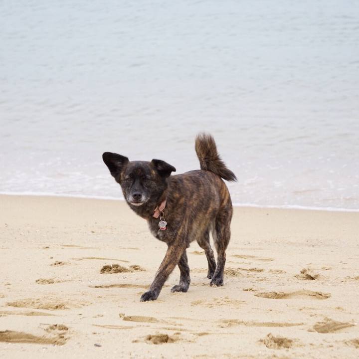 2f726ed2 d4f8 443b b0a0 f974e5053042