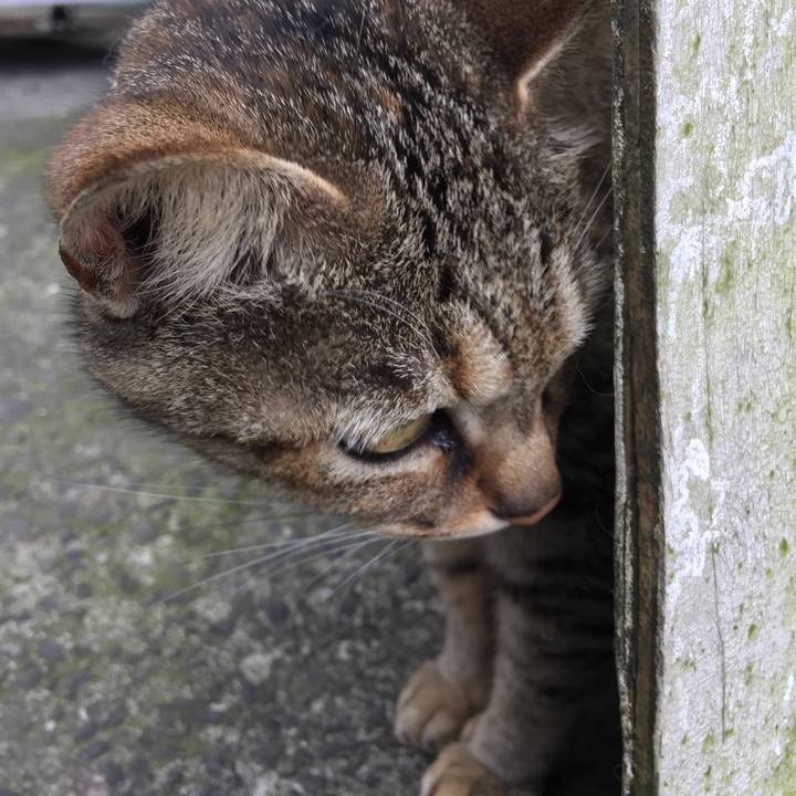 2f72926c eec4 41ff 8a08 d6d29c0afc34