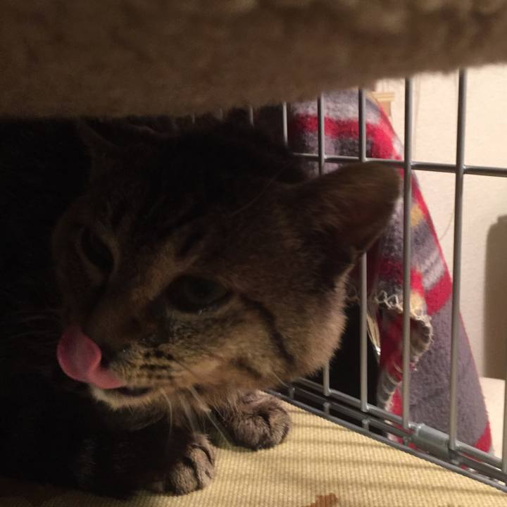 2f72b096 7042 4bc8 b50e 7ce4ac469bac