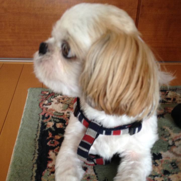 2f730317 4d5b 46ca 9678 9bdab185315f