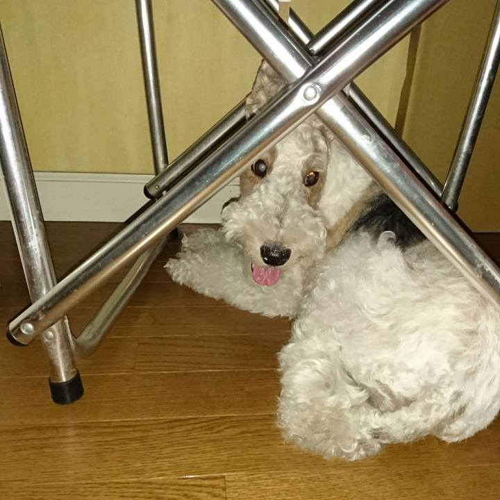 2f73215a f93d 4c4f b59a 4647231ecf82