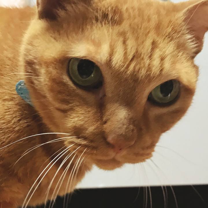 2f73c1cb 1bc8 4fd8 b596 c1b4f98ff026