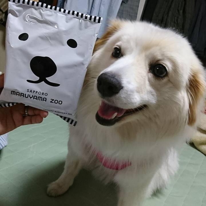 2f742c05 fa6c 41a8 9b5a 8c3a7e1d5edb