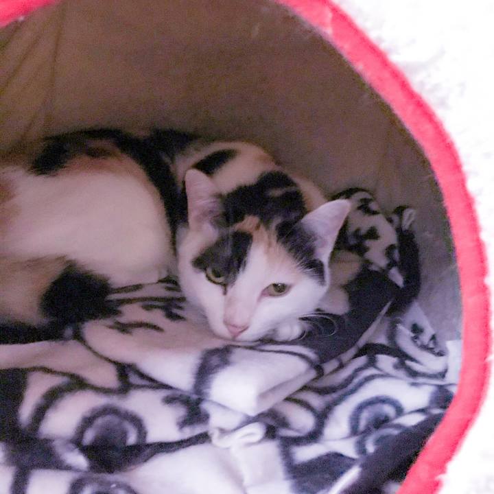 2f746e26 2b6e 4db5 bbbb 2476ffe19d8c