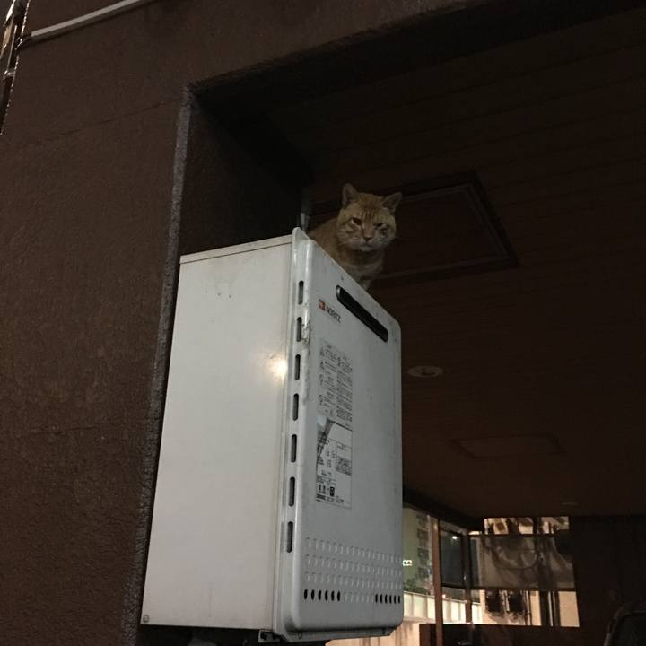 2f74831d fdf8 4a8a 9e31 5e558d87470f