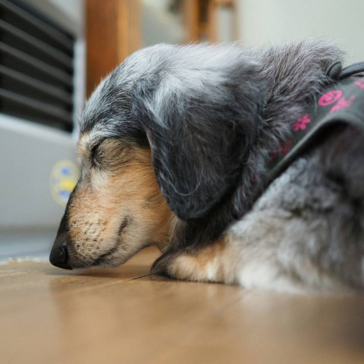 2f74bc4a 970e 42fd a3df 44cec8ddbe8e