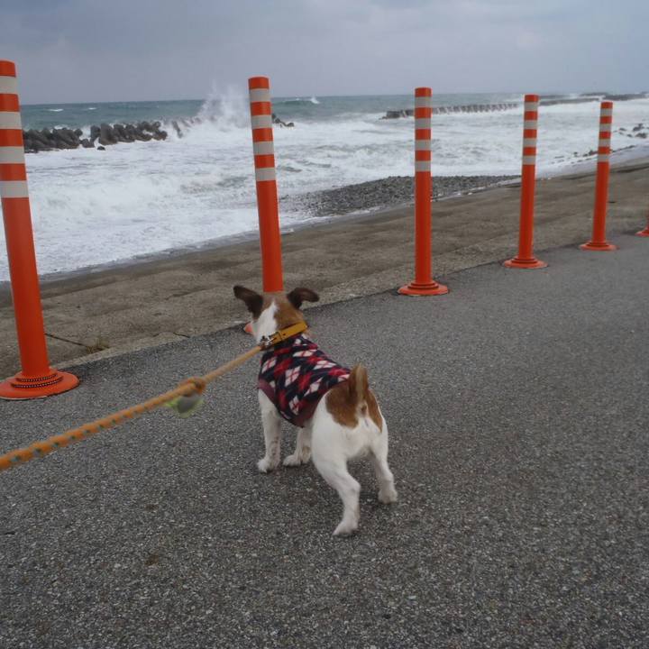 2f762ec1 6c17 4f46 86ca cc0afed1232e