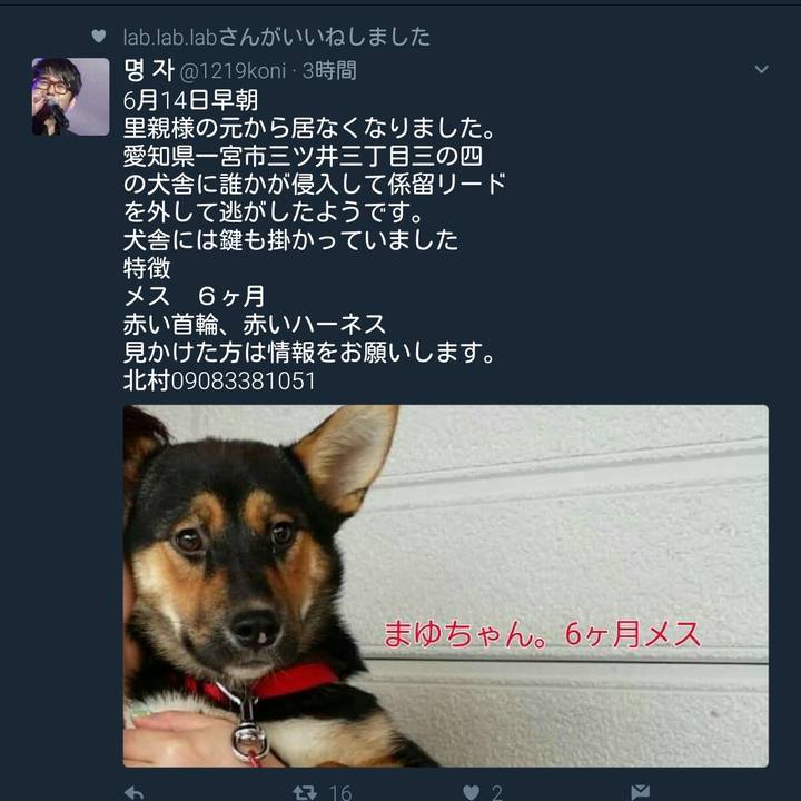 2f76433e 1b87 4647 94cb 21229c8e135d