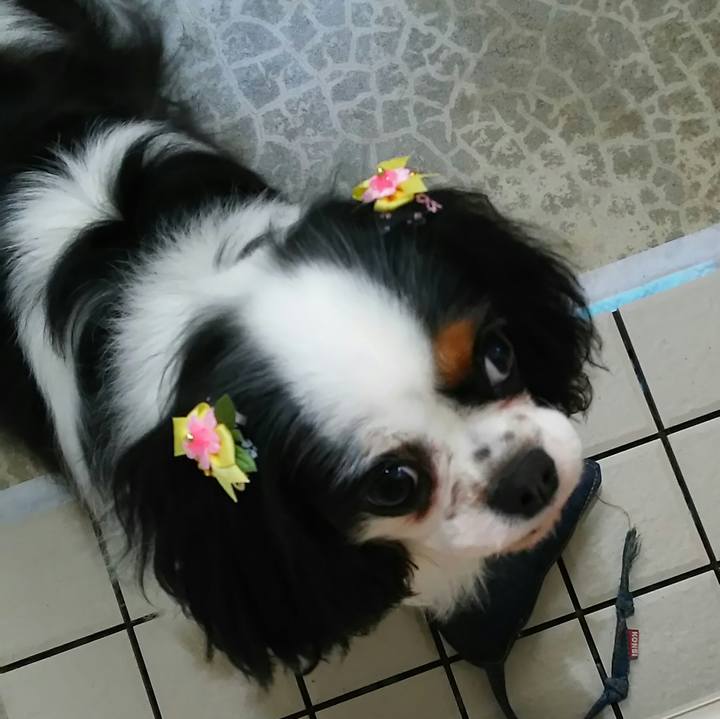 2f7676f8 f683 480b b957 05cd12128ee1