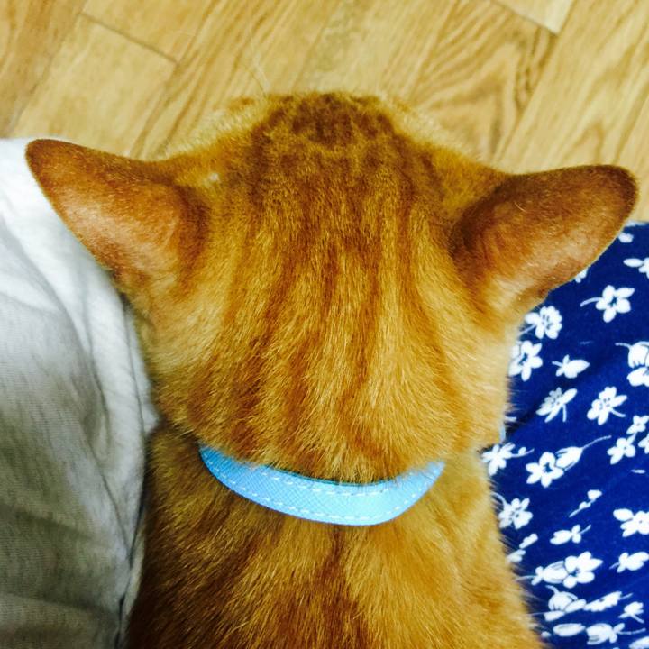 2f767709 dd9b 4be1 ae50 776e499ebaf7