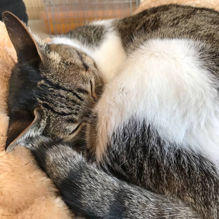 2f76ba77 82c8 461a a9b2 1cf55aad0e06