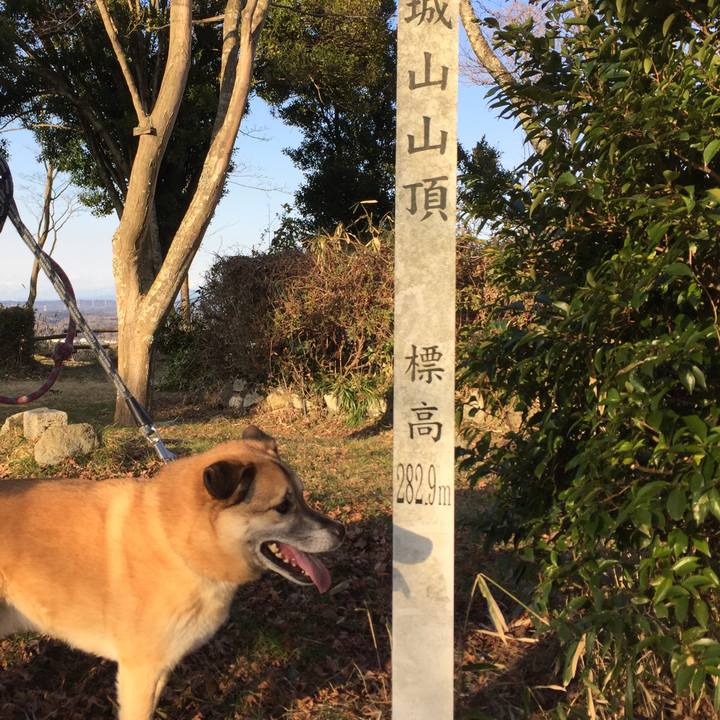 2f76e3cb 03c2 4721 8777 3886fead8c99