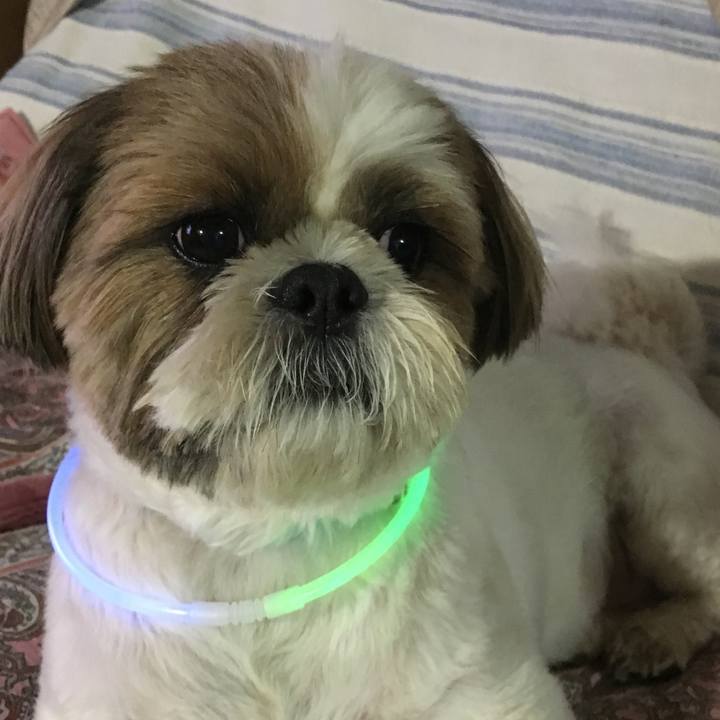 2f771a20 4405 40d8 8fed d8d441aaef57