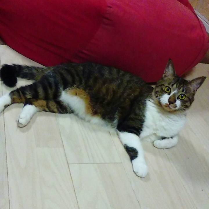 2f77ed2d d551 4ace ba74 c3ea6c3ac0ab