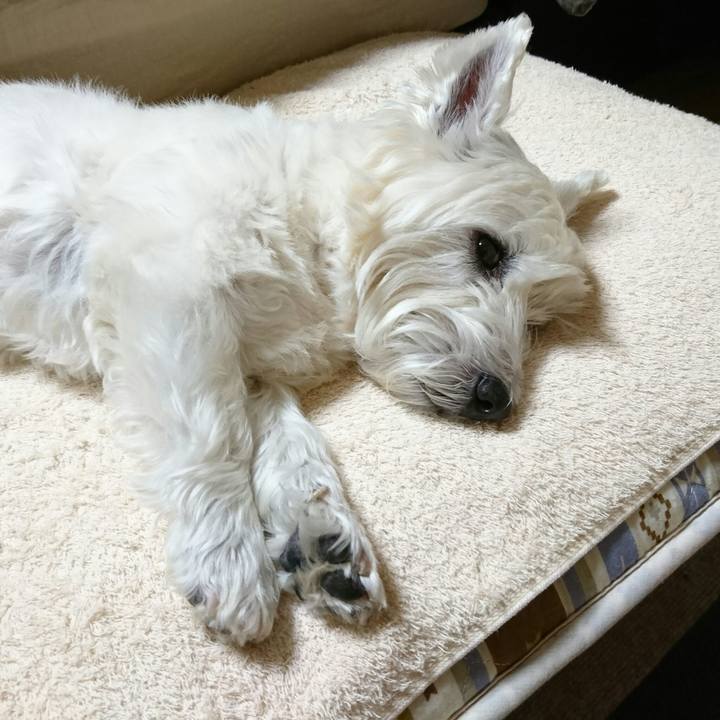 2f780988 f41e 44ce 819e ac544383f8d1