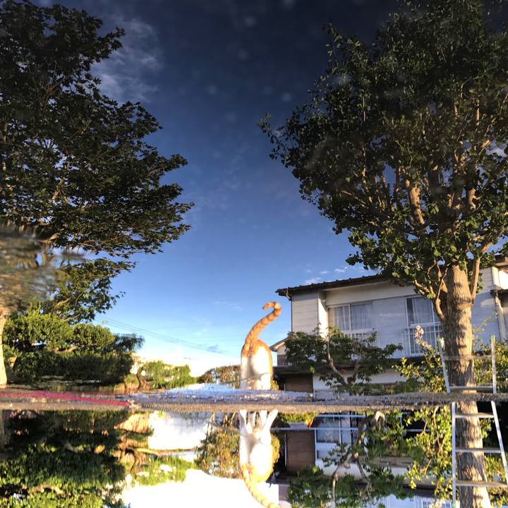 2f7988b6 d1ff 4e7a 9a7a 7aded02ec5a3