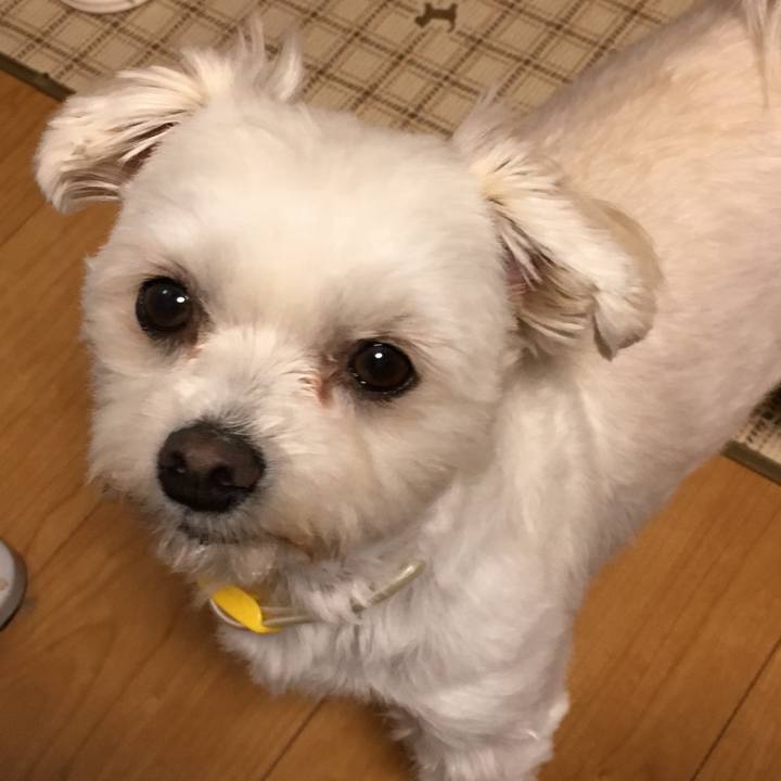 2f798f17 f989 4a55 86f5 8b3dcf1d8c0b