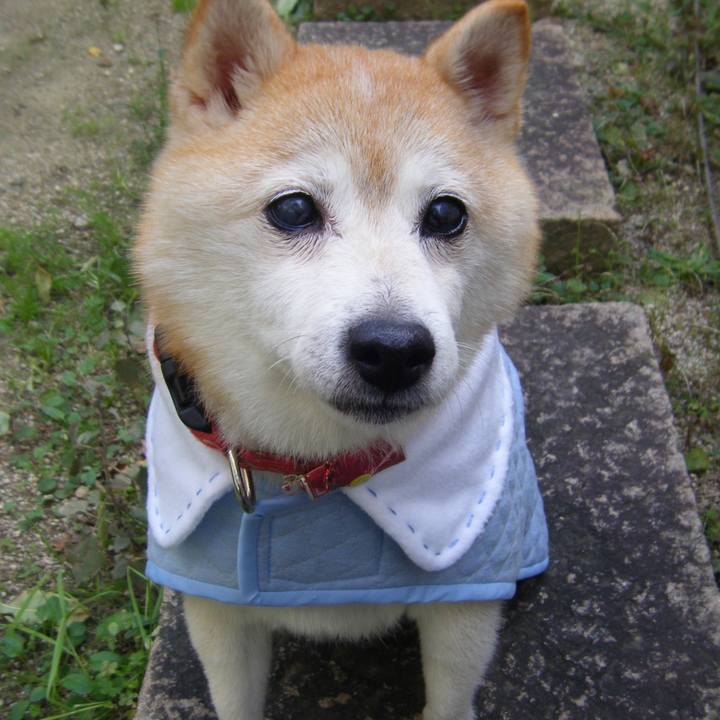 2f7a150f 63a3 424e 99b9 477e1027b7ce