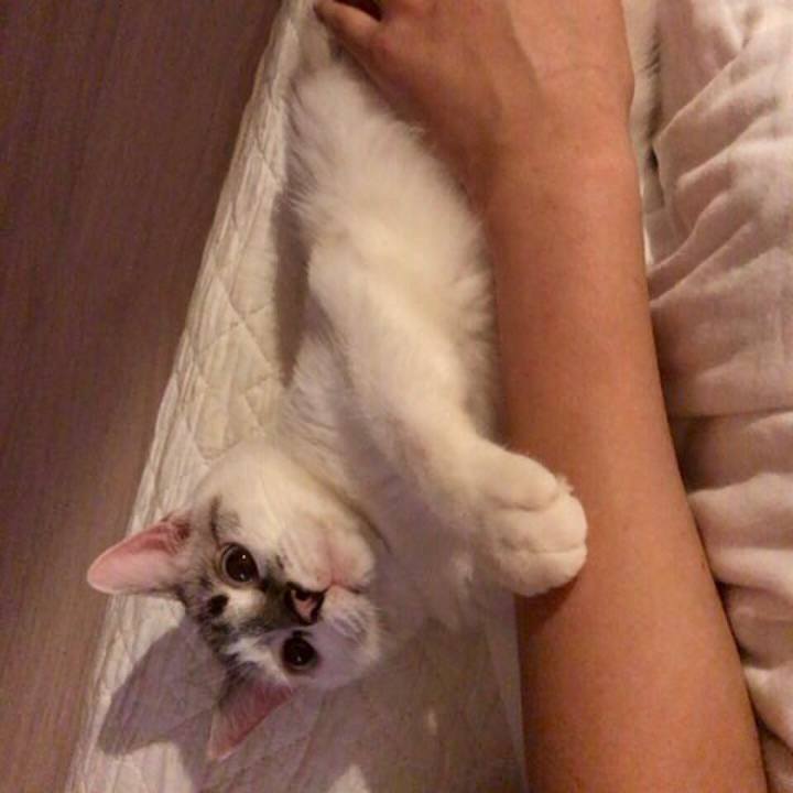 2f7b042b 3026 4f2e 8b93 8ed2747af3b5