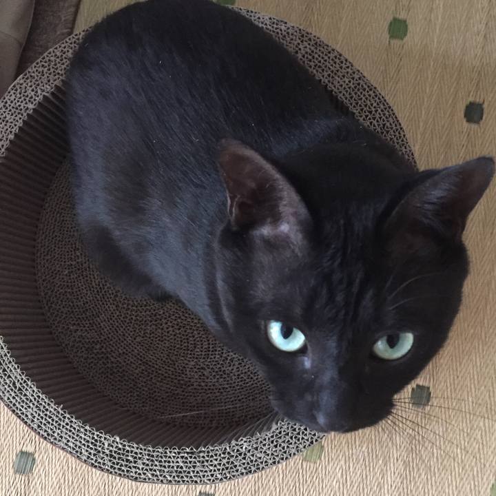 2f7b2798 6524 44ed bfe7 be59cf95d109