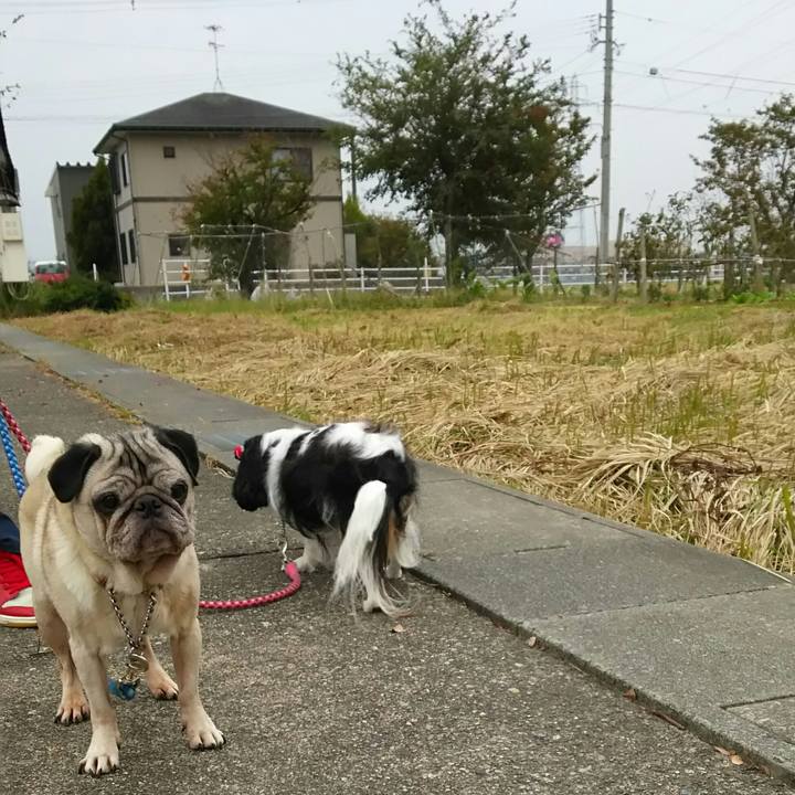 2f7bd126 a1fa 4a4e 8ef5 509facf3e366