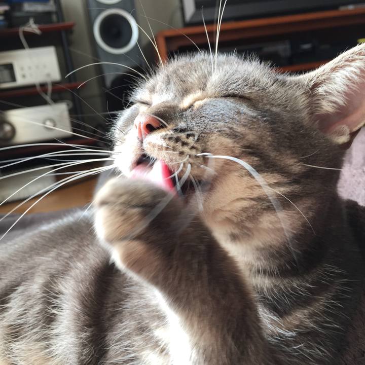 2f7ce8df fb75 4807 a11a 2e22945e99e0